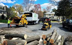Best Tree Mulching  in Weyauwega, WI